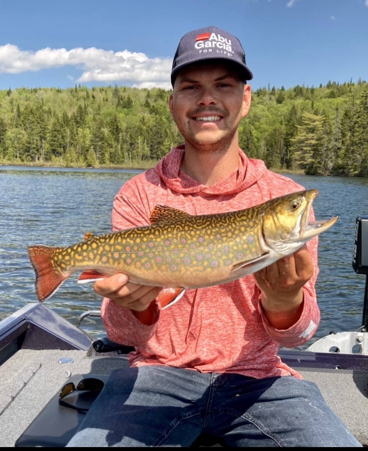 Grosse mouchetée de mai au poisson nageur